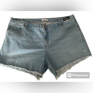 Abercrombie and Fitch A&F Plus size Curve Love High Rise Dad Shorts Size 24 W